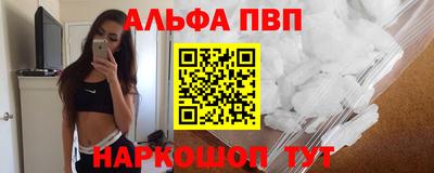 ешки Кингисепп